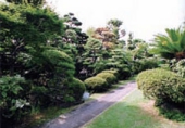 菩提樹院の庭園